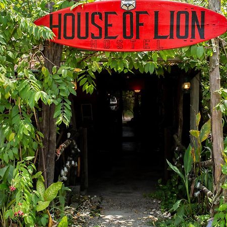 House Of Lion Hostel Pantai Cenang  Dış mekan fotoğraf